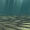 Environnement subaquatique