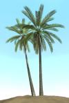 comment faire un palmier