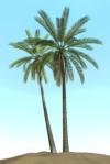 modliser un palmier
